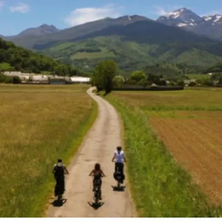 Isatis בנרס-דה-ביגור